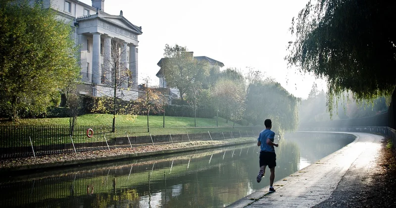 Les parcs : le vrai secret d'un séjour réussi