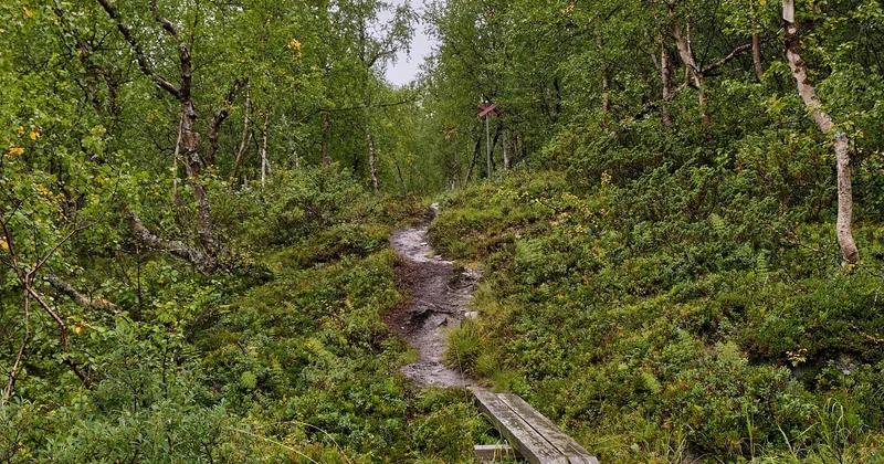 Activités nature en vacances : gérer la pluie, la canicule et l'hiver